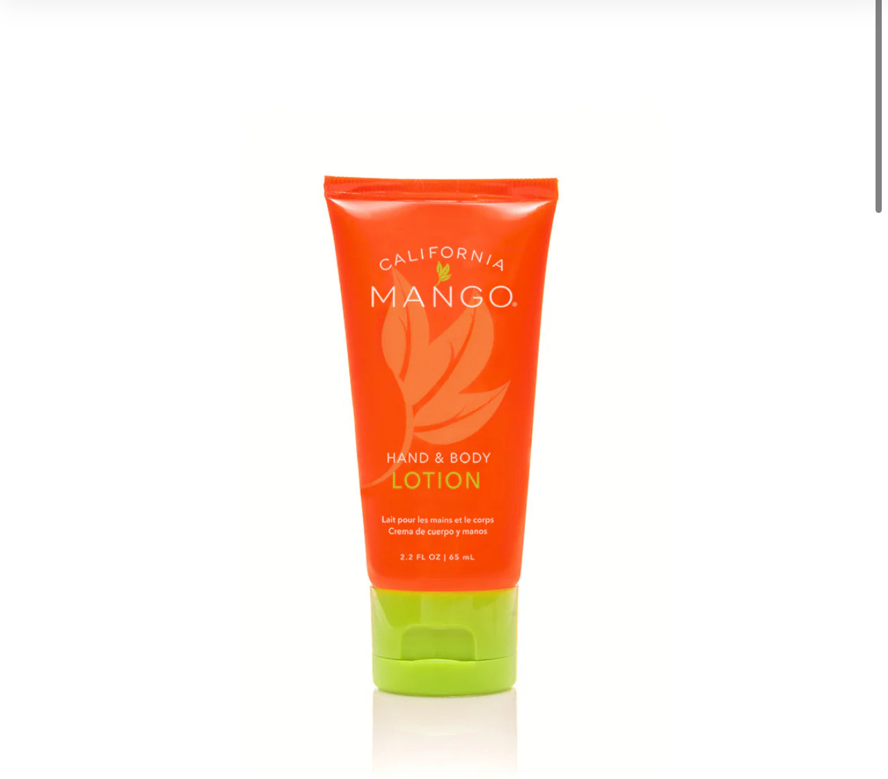 Lotion - 3 Sizes