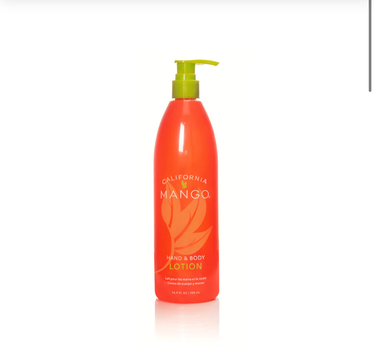 Lotion - 3 Sizes