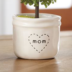 Artificial Topiary, 3 Styles