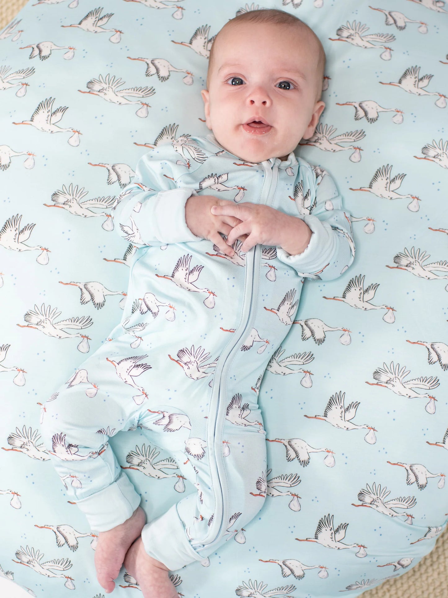 Stork Blue