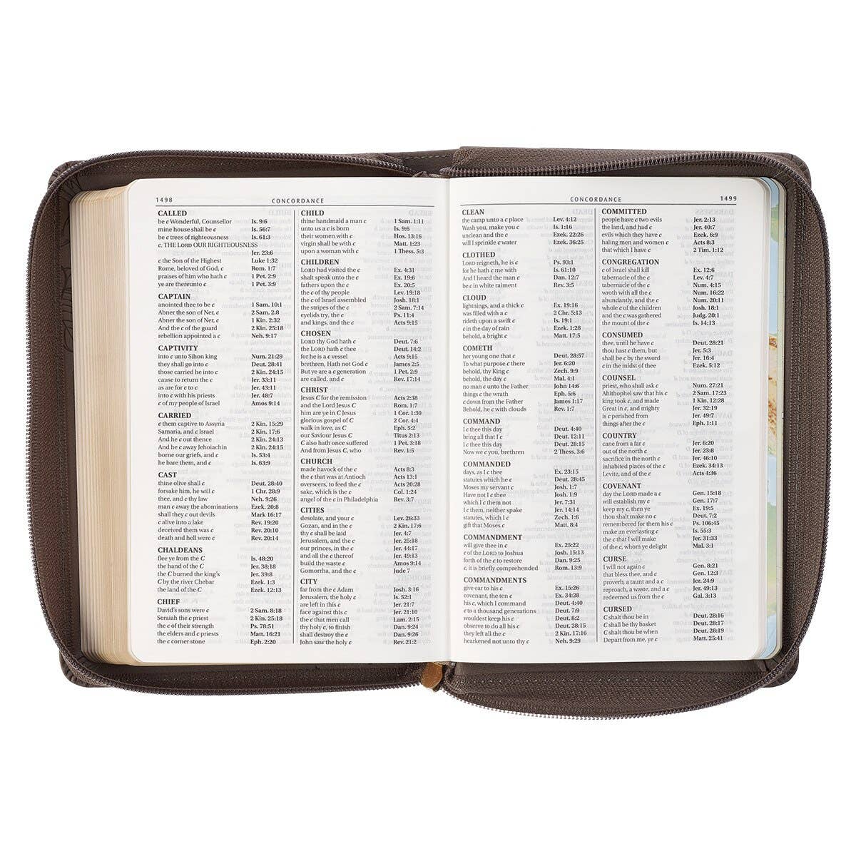 KJV Bible Compact LP Faux Leather, Gray w/zipper