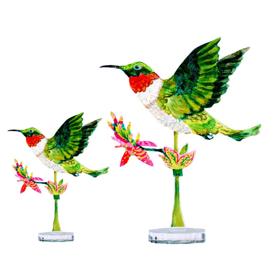 Hummingbird Acrylic Contour