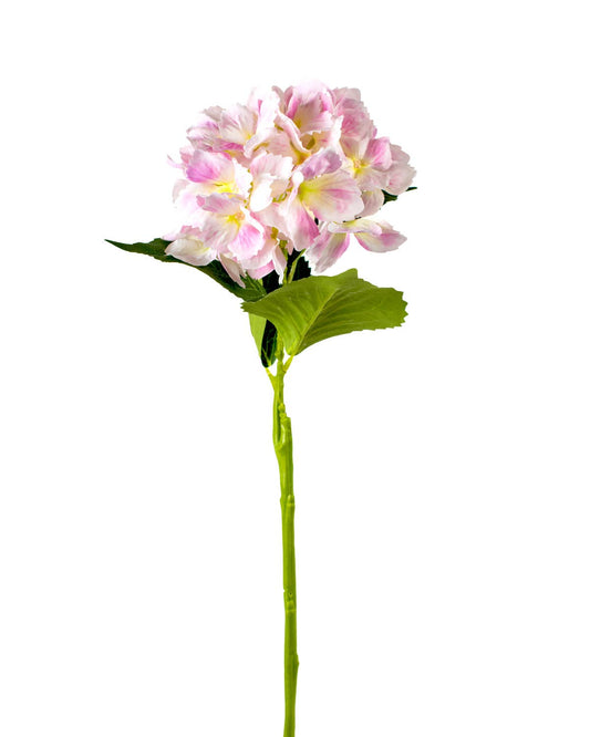 Hydrangea Stem - Pink
