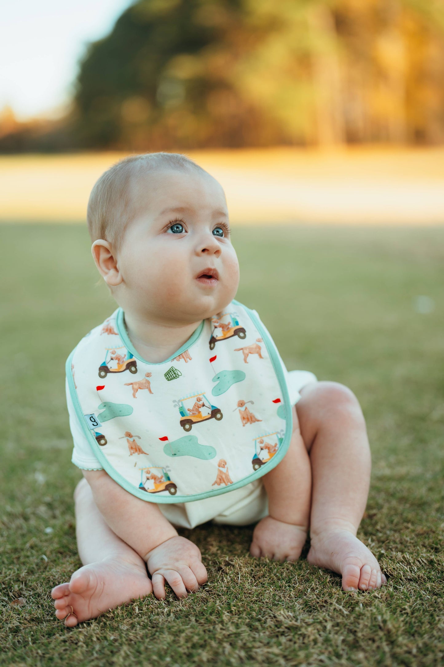 Bib Set - Barks & Birdies