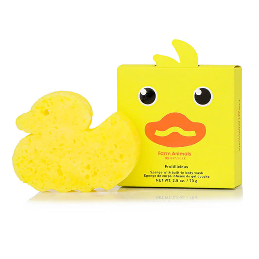 Sponge Nature Animals
