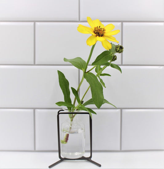 3.5" Metal Stand with Glass Vase, Black