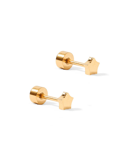 Screw Back Stud
